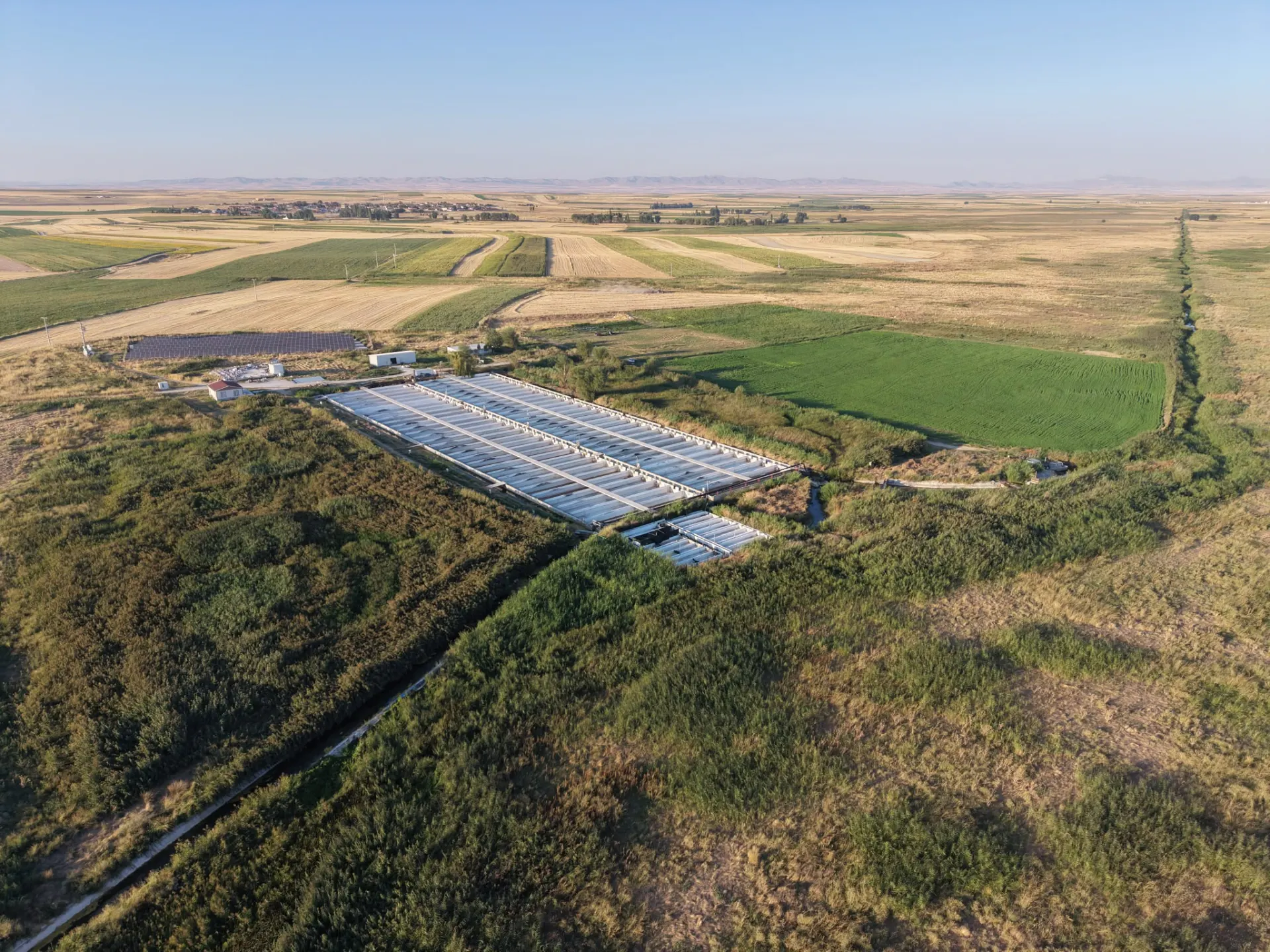 ESKİŞEHİR ÇİFTELER’DE 157.000 m² SATILIK FAAL BALIK ÇİFTLİĞİ