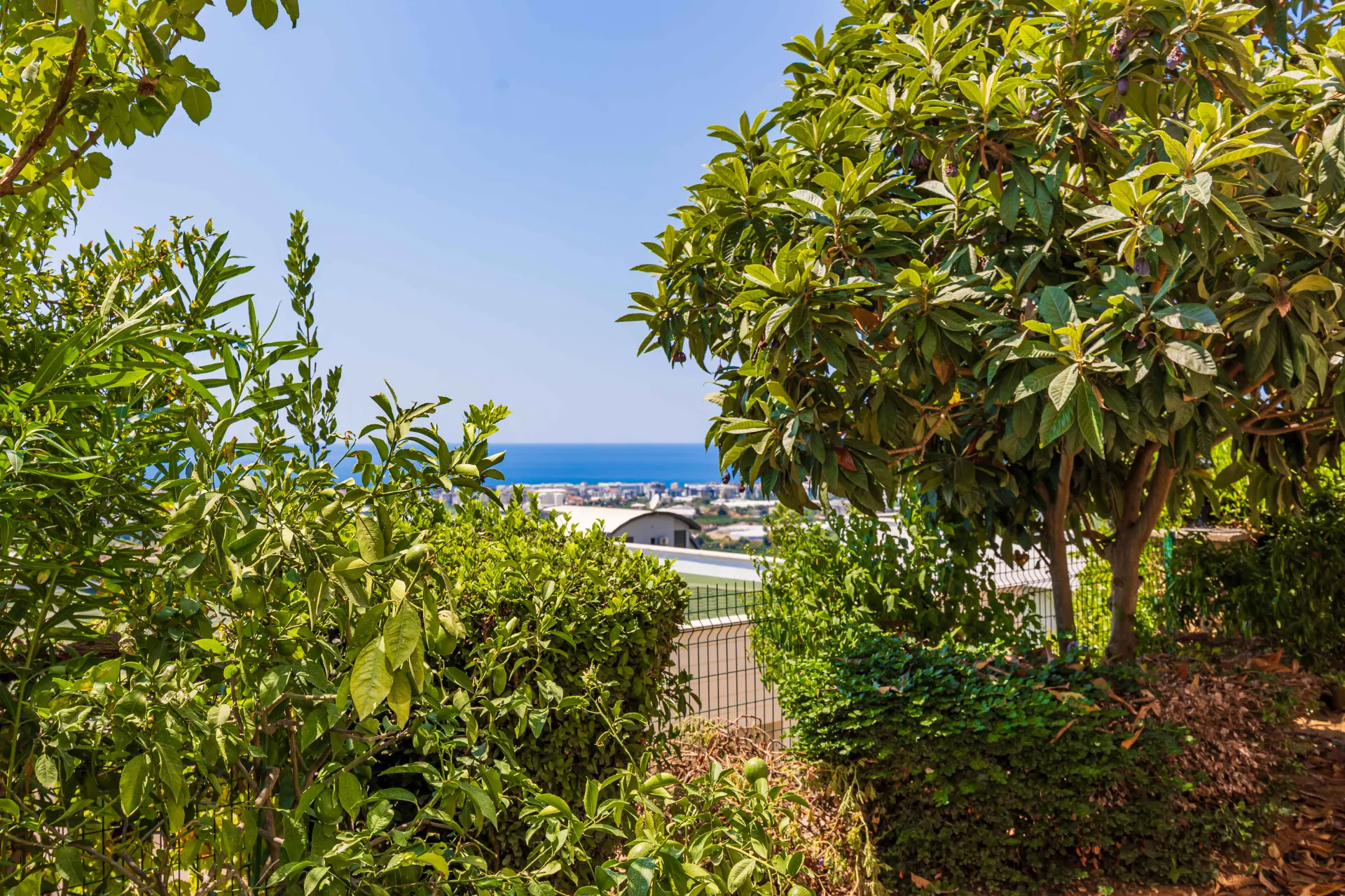 Antalya Alanya Kargıcak'ta Satılık 4+1 Villa