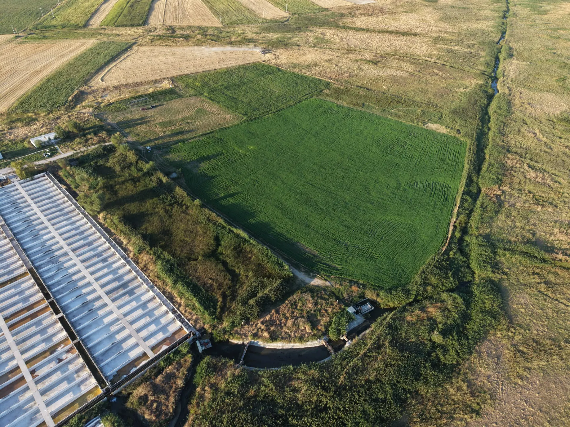ESKİŞEHİR ÇİFTELER’DE 157.000 m² SATILIK FAAL BALIK ÇİFTLİĞİ