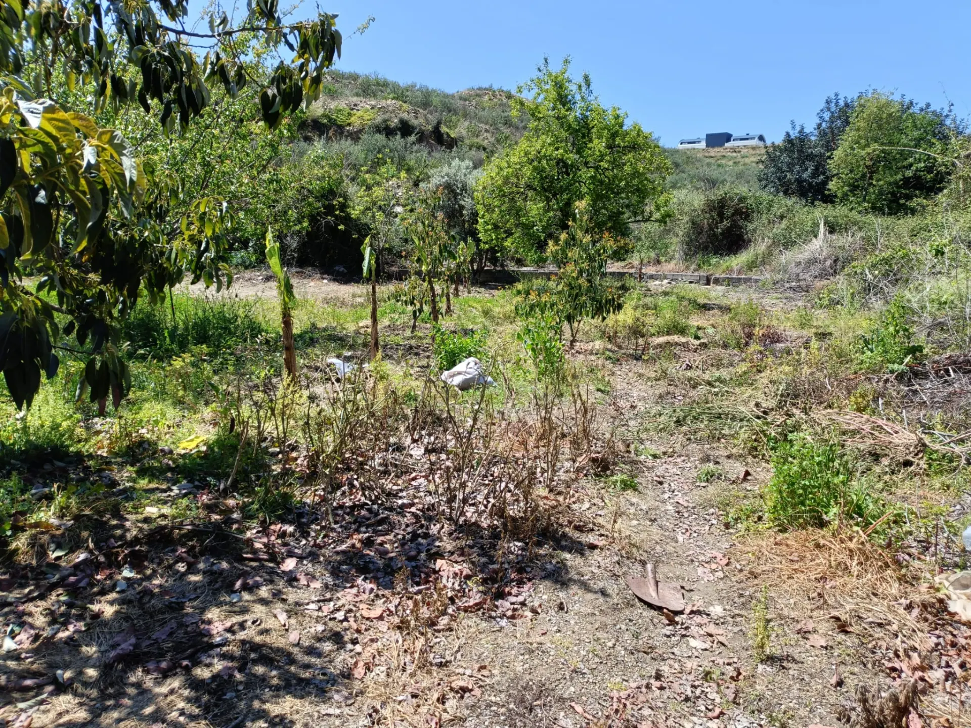 ALANYA DEMİRTAŞ ALİEFENDİ’DE 368 m² SATILIK TARLA