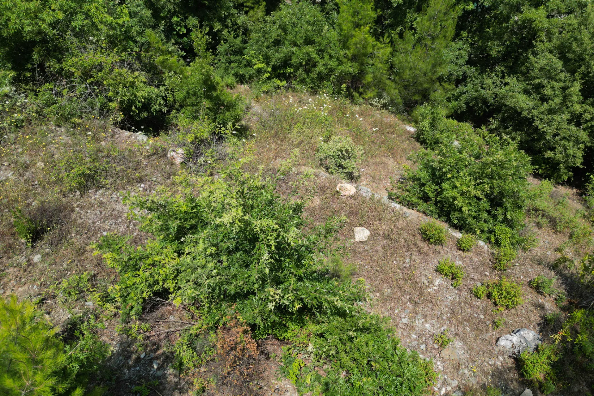 DOĞANIN KALBİ KUZYAKA KÖYÜ MUHTEŞEM KONUMDA 1.447 m²  SATILIK