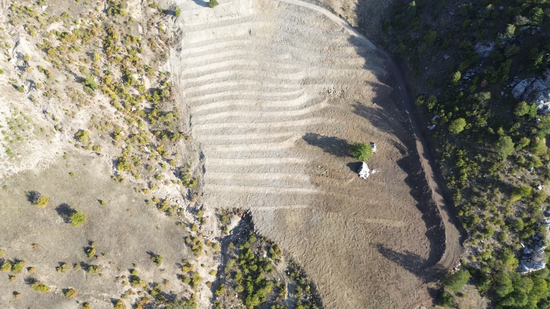 Terreno cultivado listo para la venta en Alanya