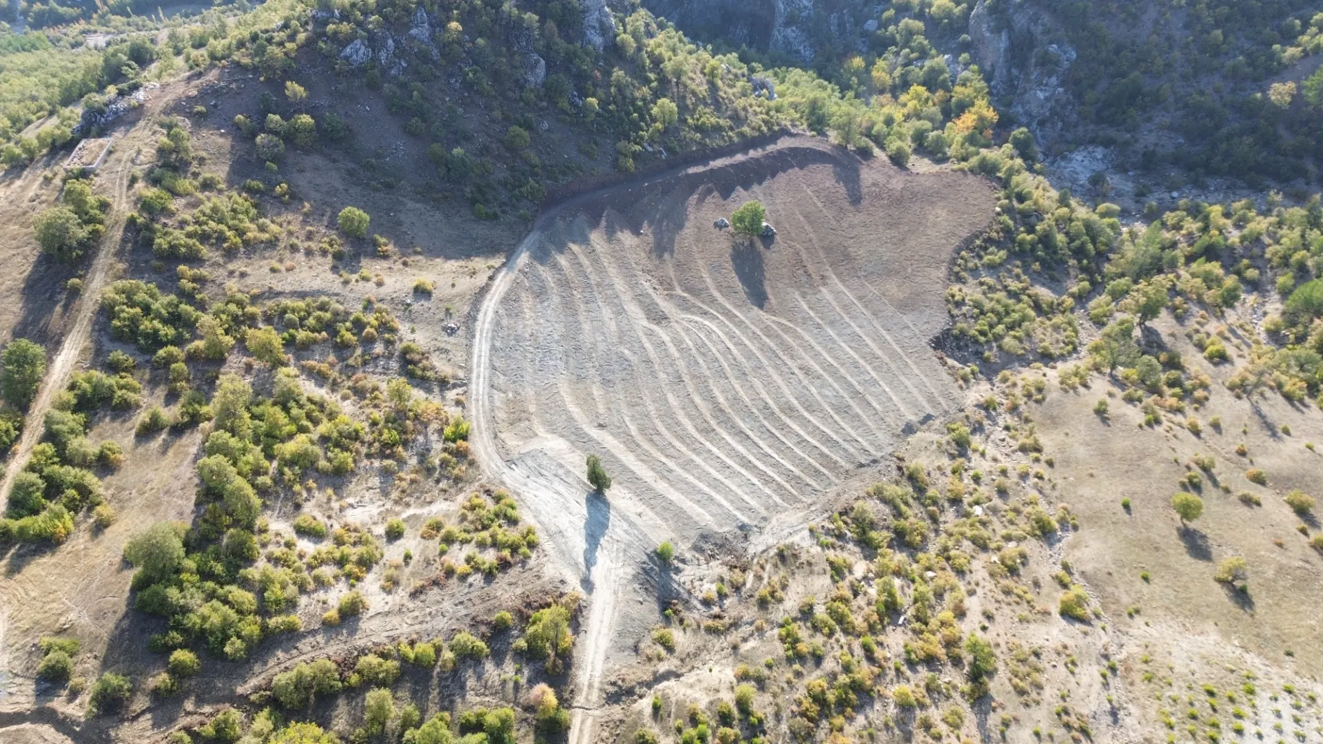 Terreno cultivado listo para la venta en Alanya