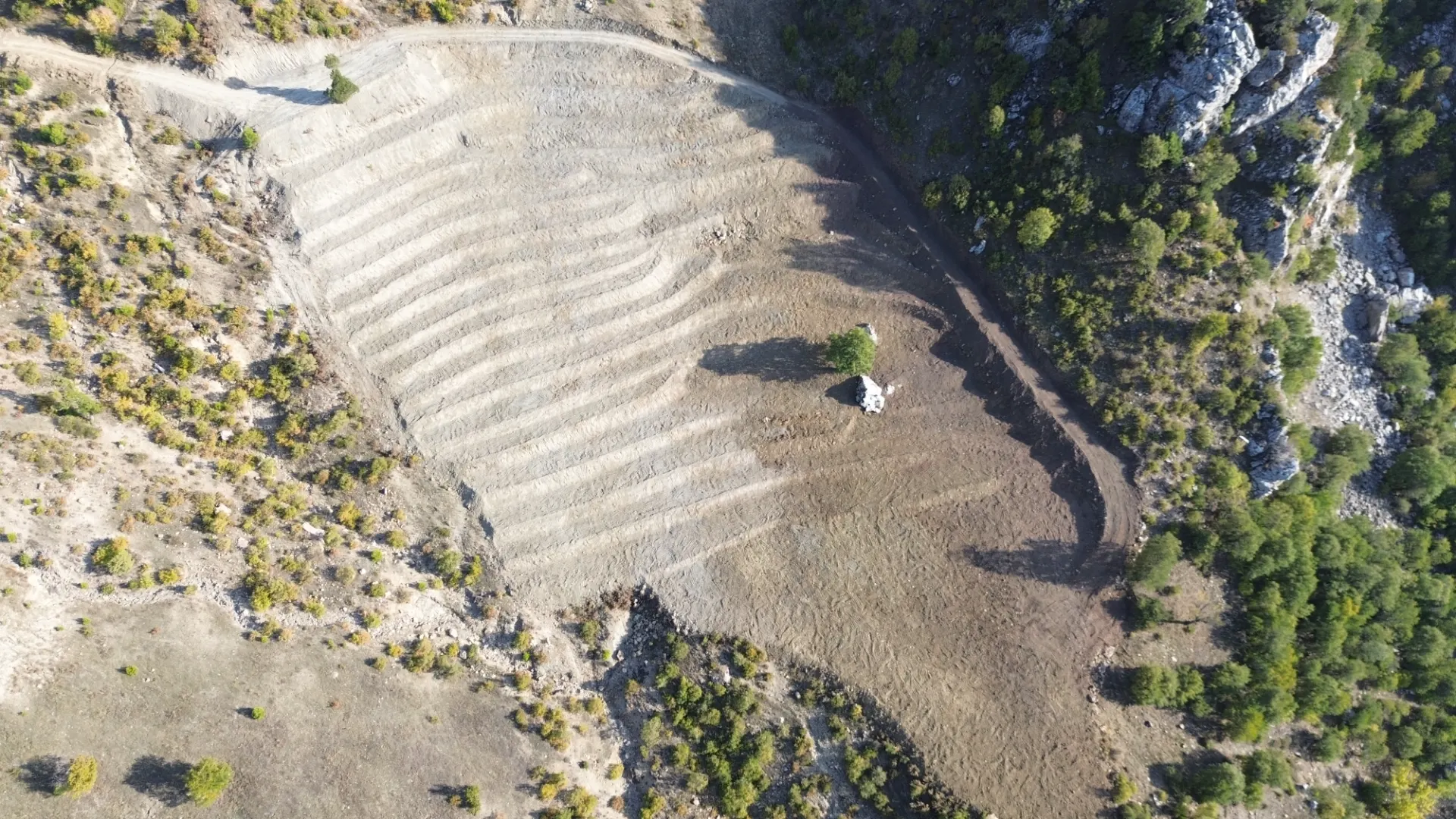Terreno cultivado listo para la venta en Alanya