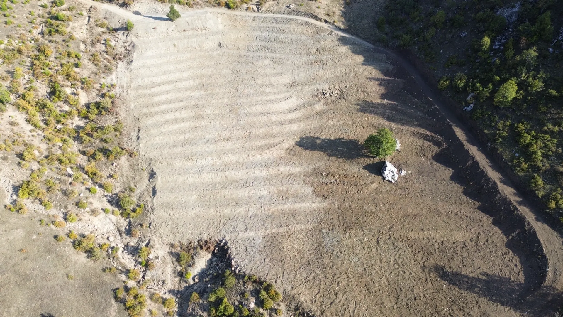 Terreno cultivado listo para la venta en Alanya