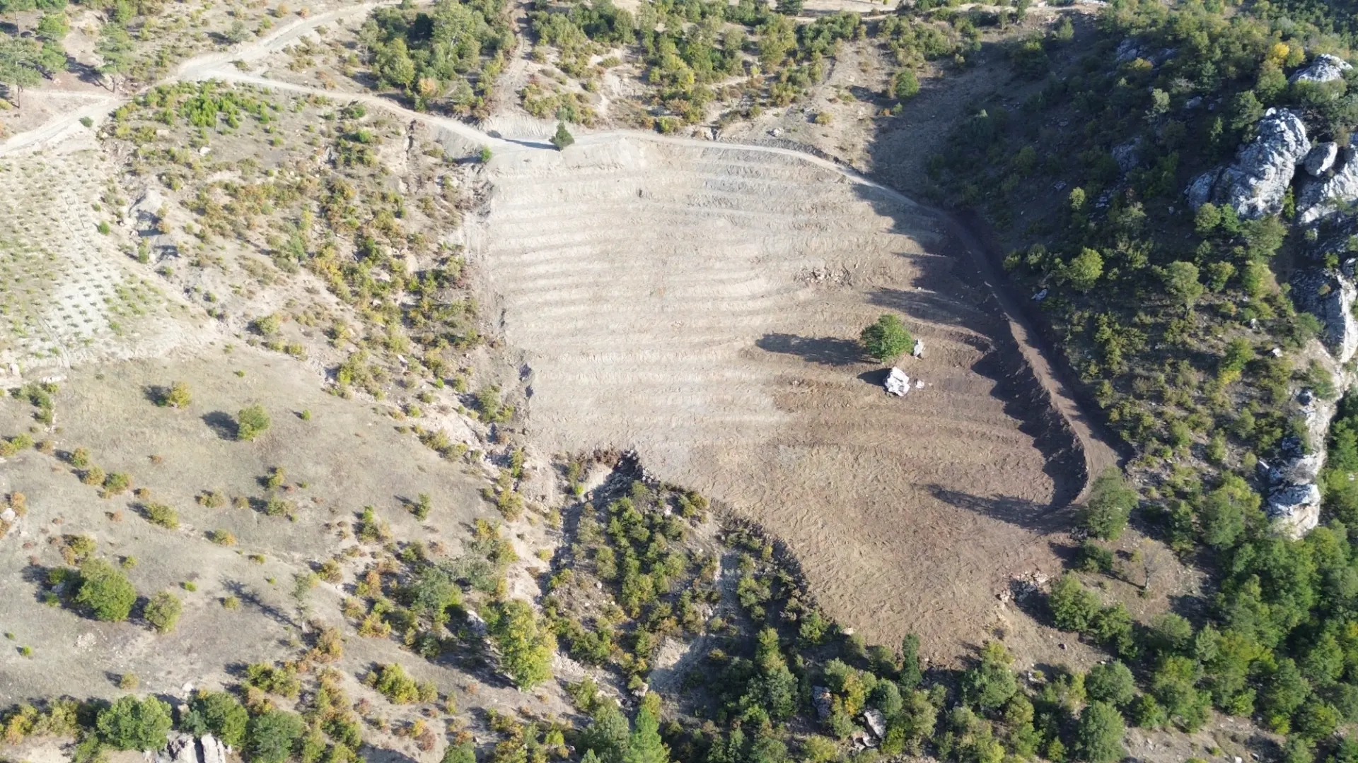 Terreno cultivado listo para la venta en Alanya