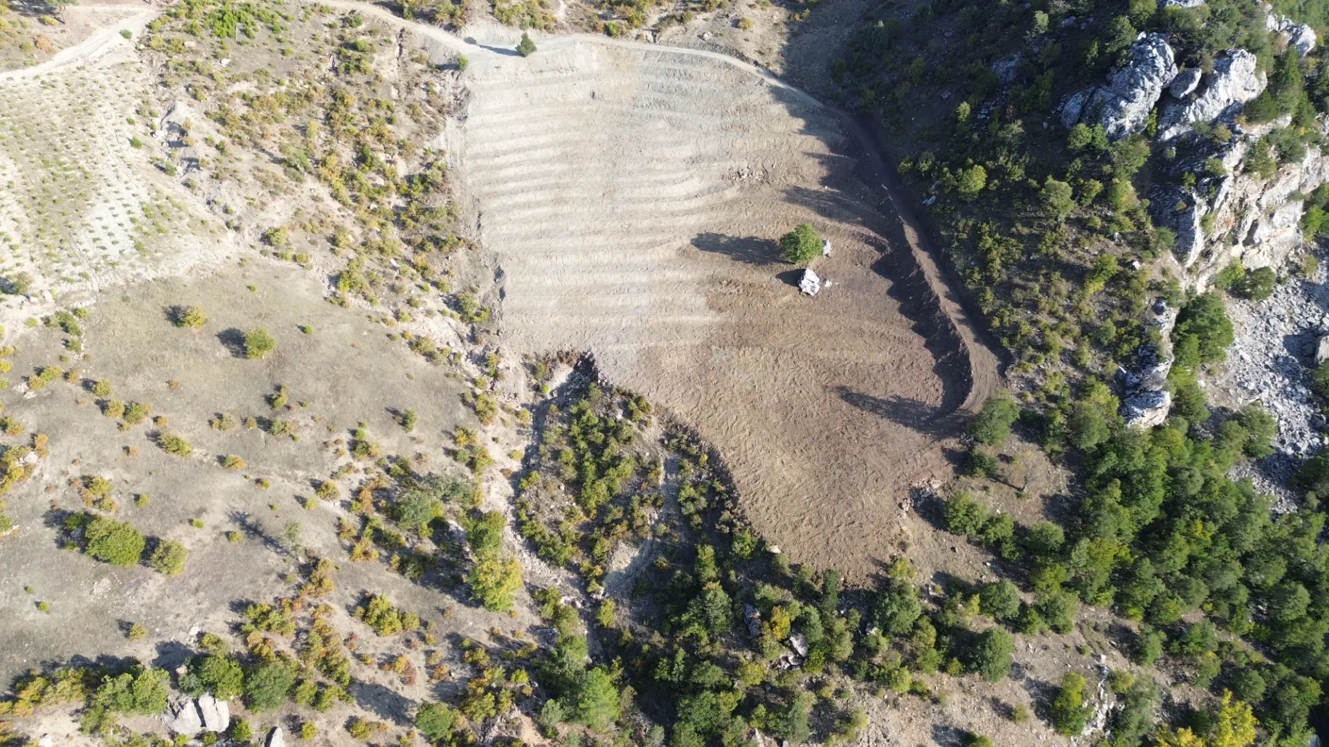 Terreno cultivado listo para la venta en Alanya