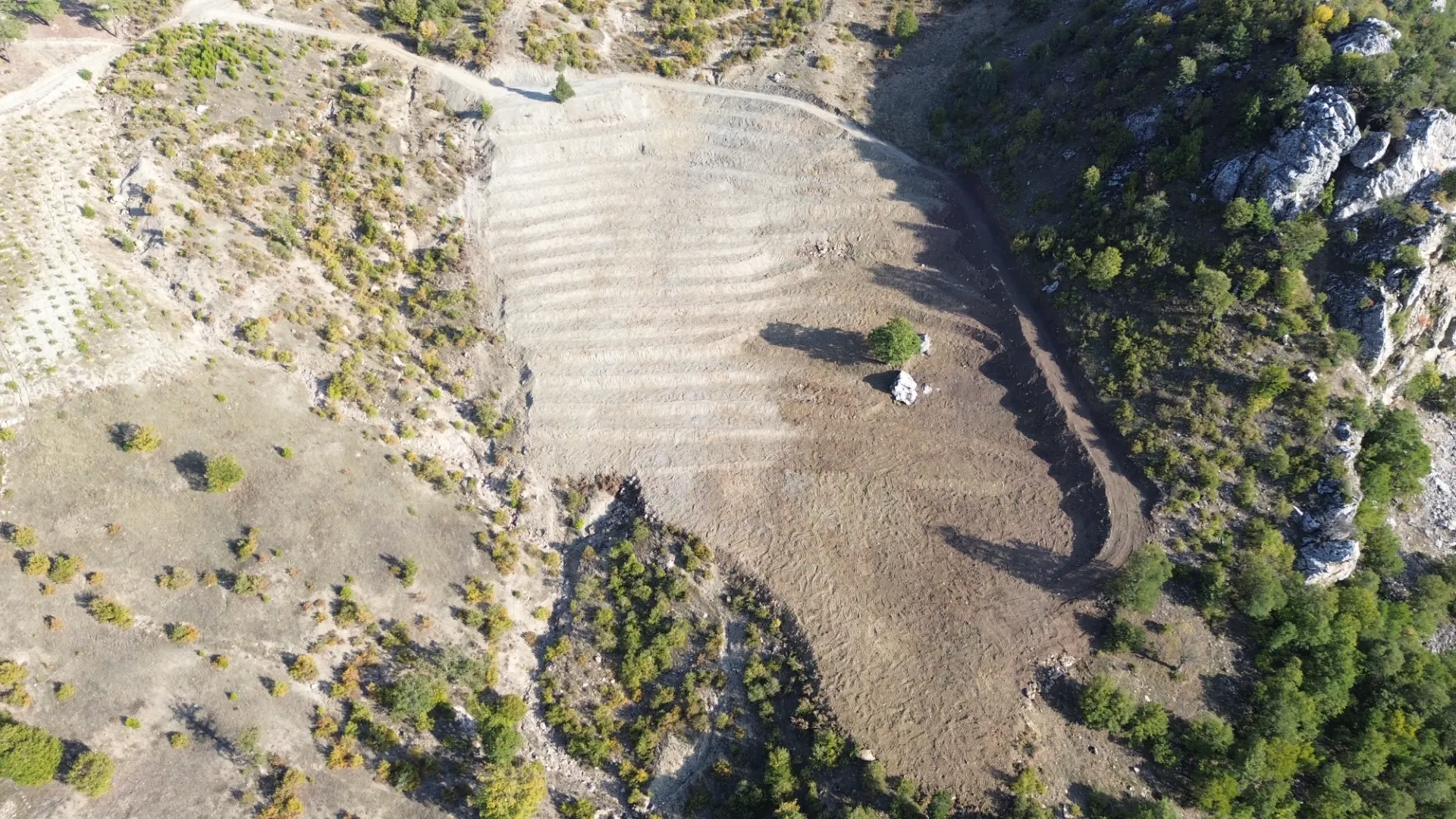 Terreno cultivado listo para la venta en Alanya