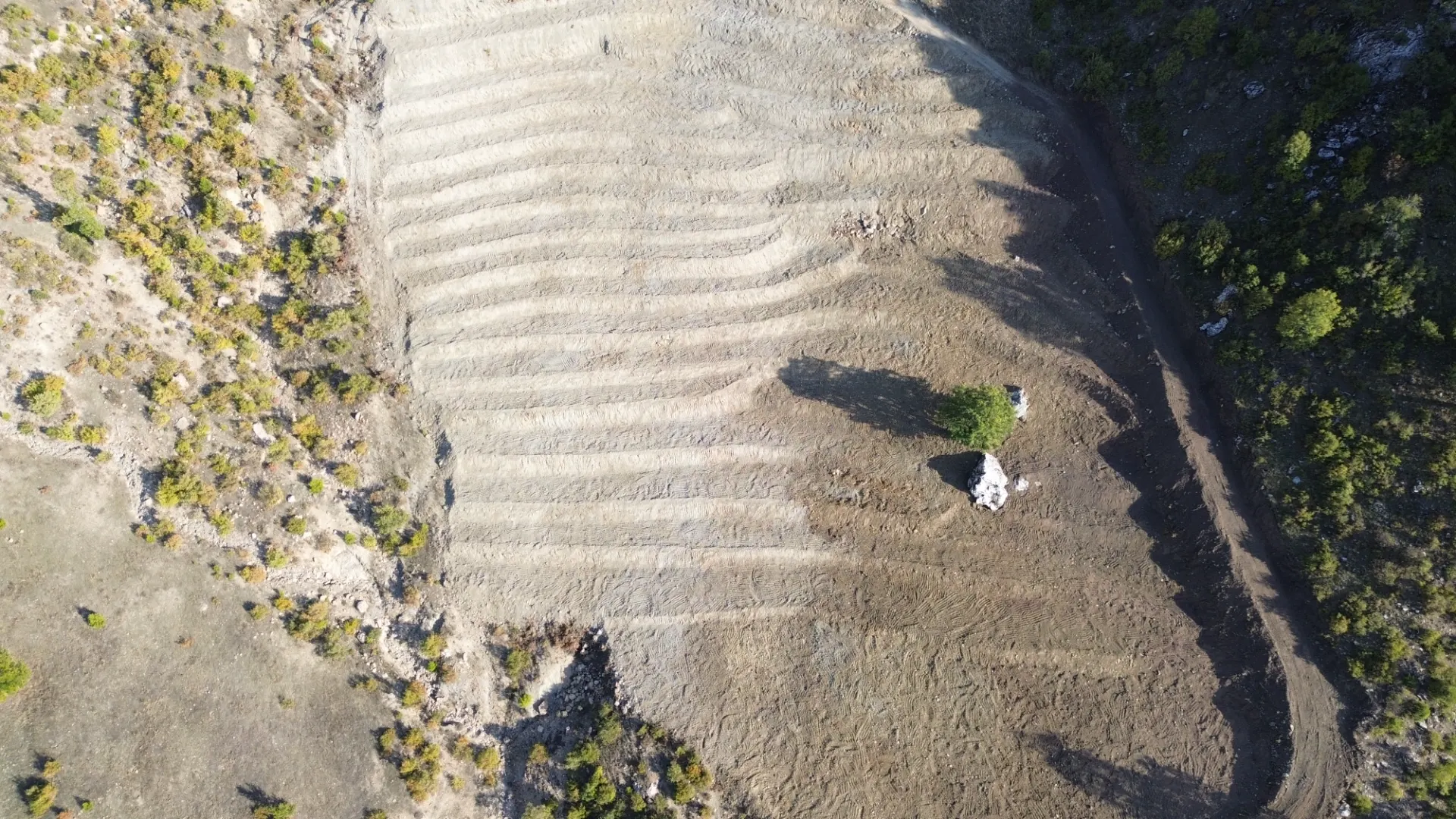 Terreno cultivado listo para la venta en Alanya