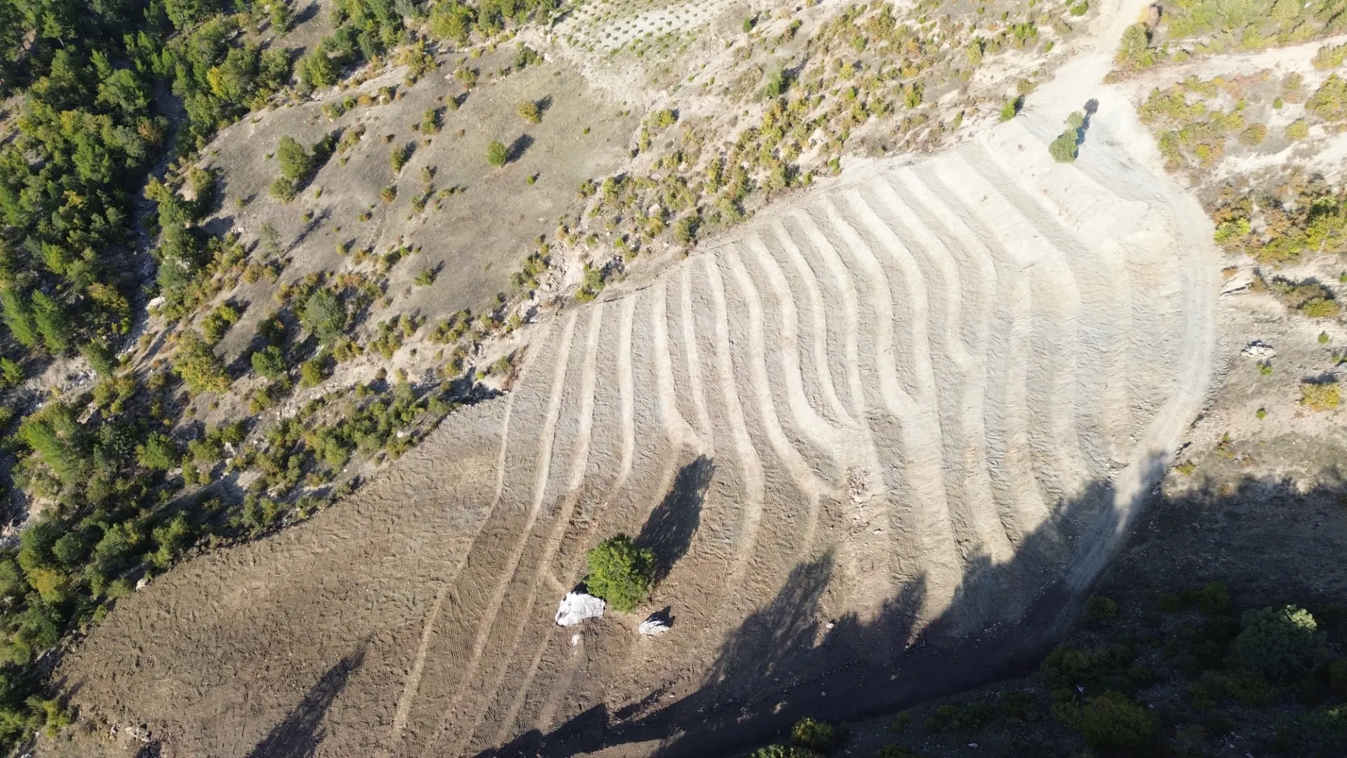 Terreno cultivado listo para la venta en Alanya