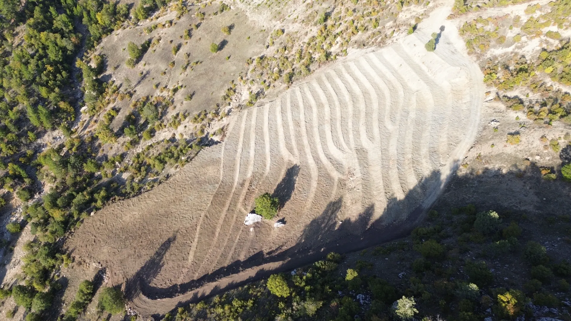 Terreno cultivado listo para la venta en Alanya