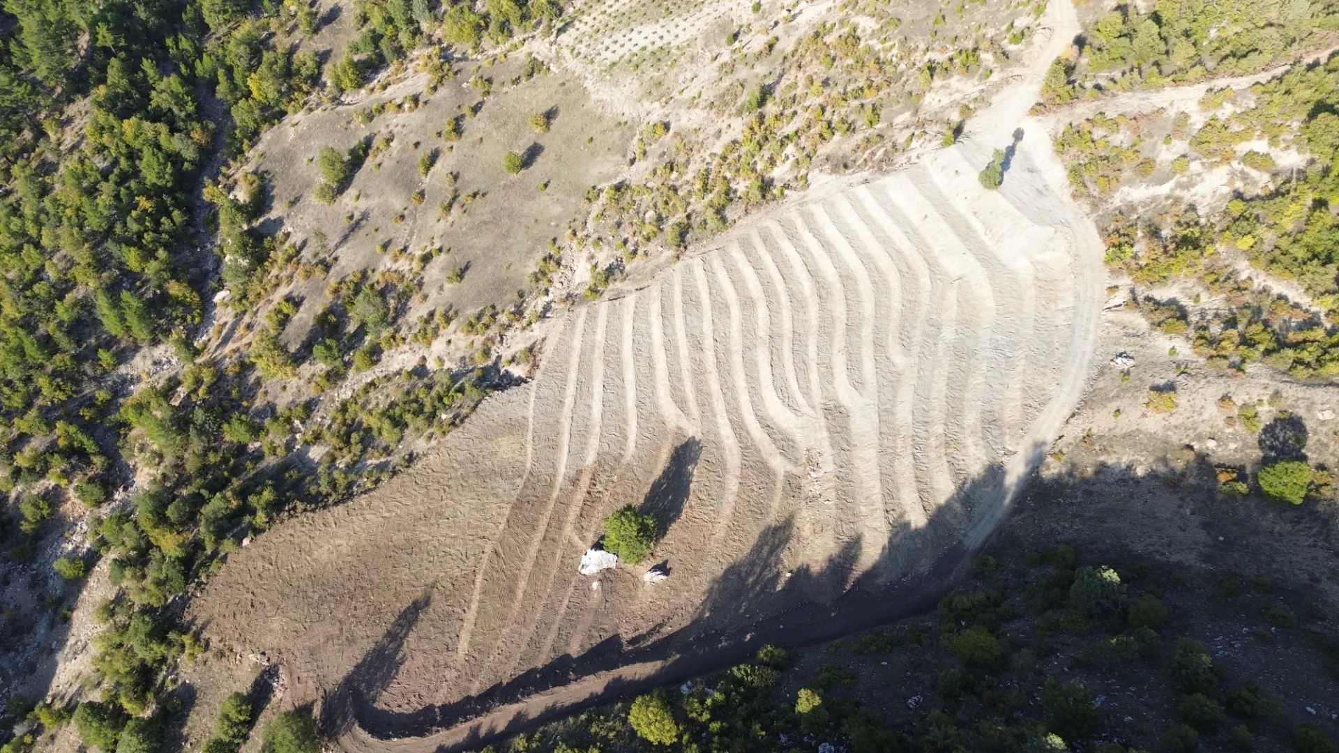 Terreno cultivado listo para la venta en Alanya