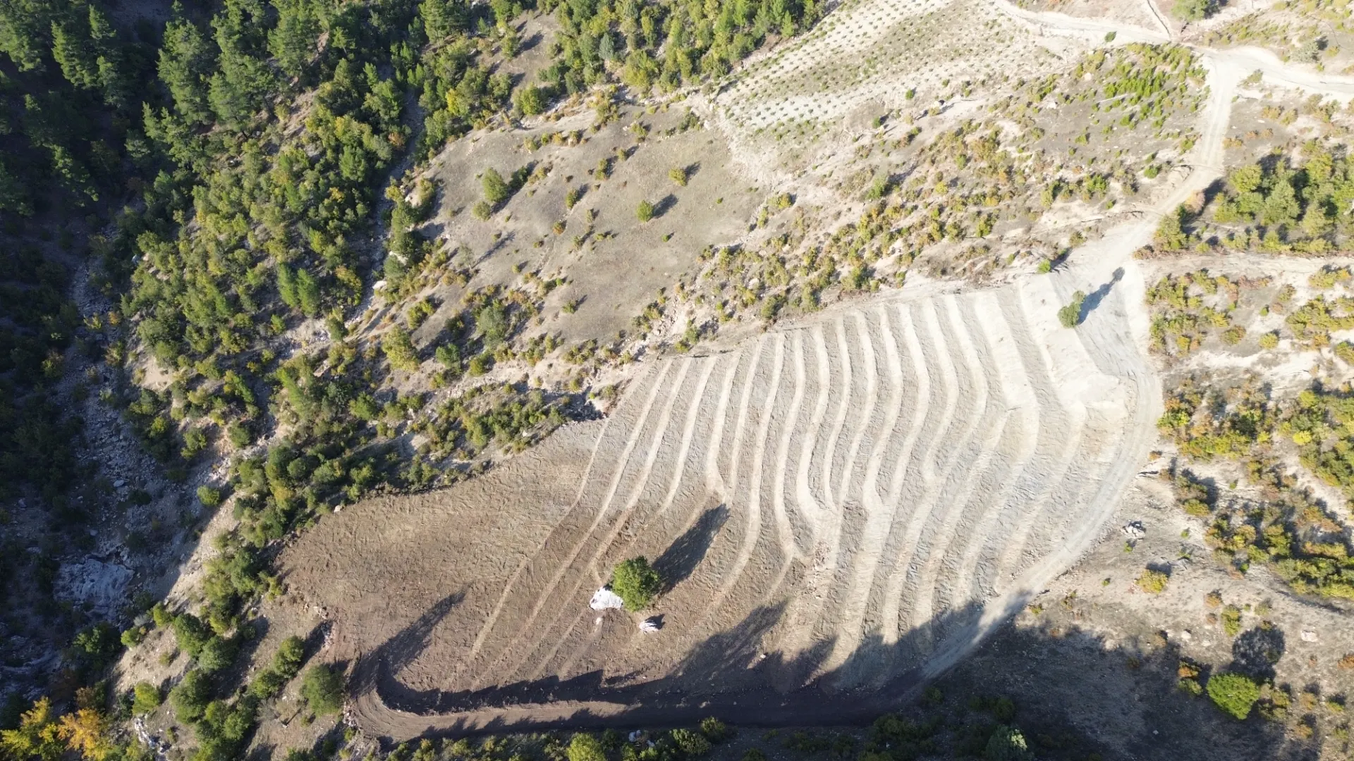 Terreno cultivado listo para la venta en Alanya