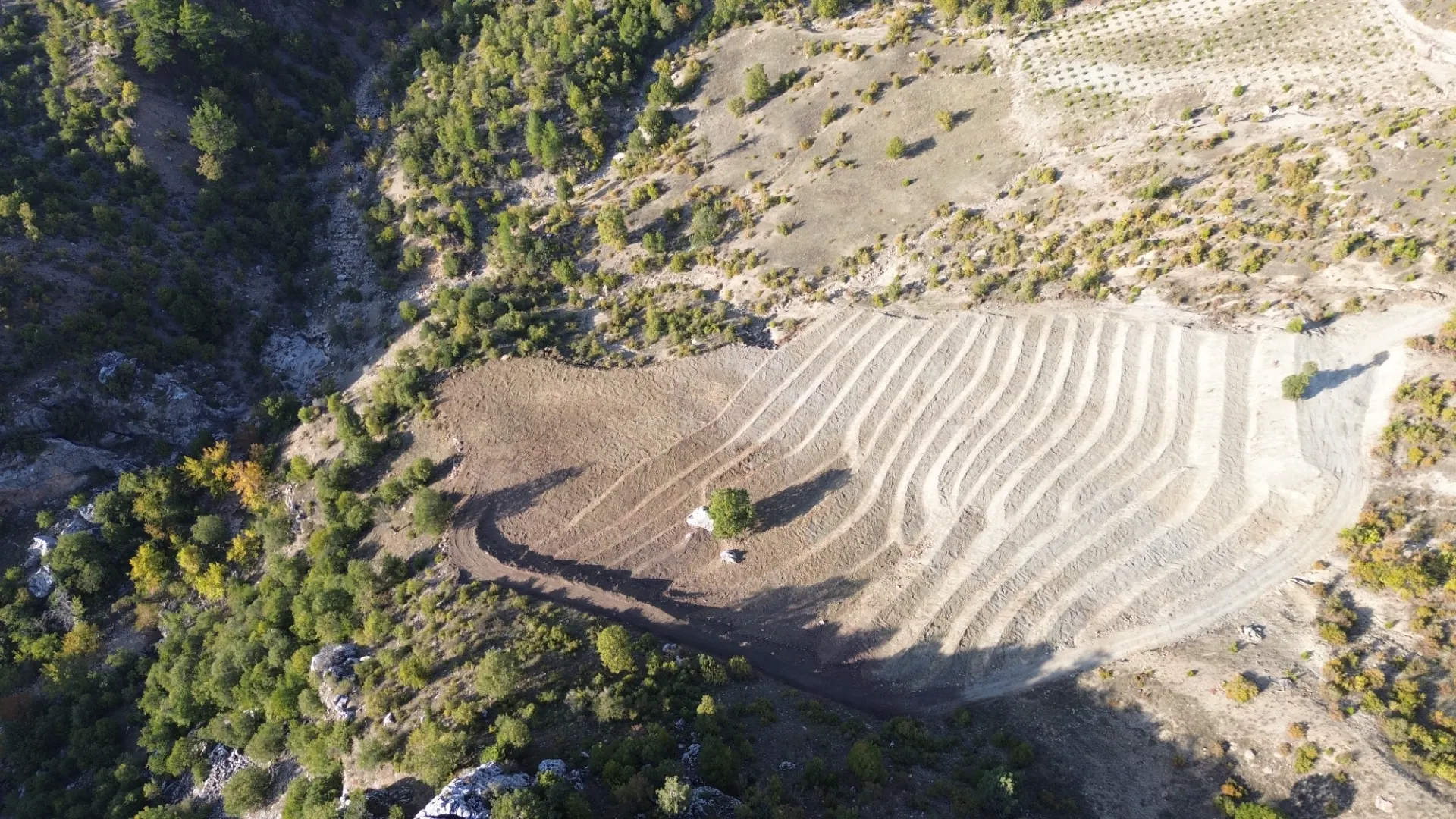 Terreno cultivado listo para la venta en Alanya