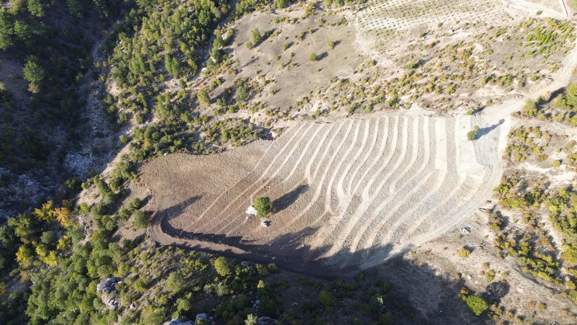 Terreno cultivado listo para la venta en Alanya