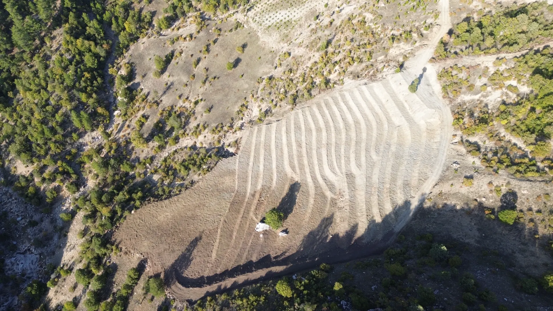Terreno cultivado listo para la venta en Alanya