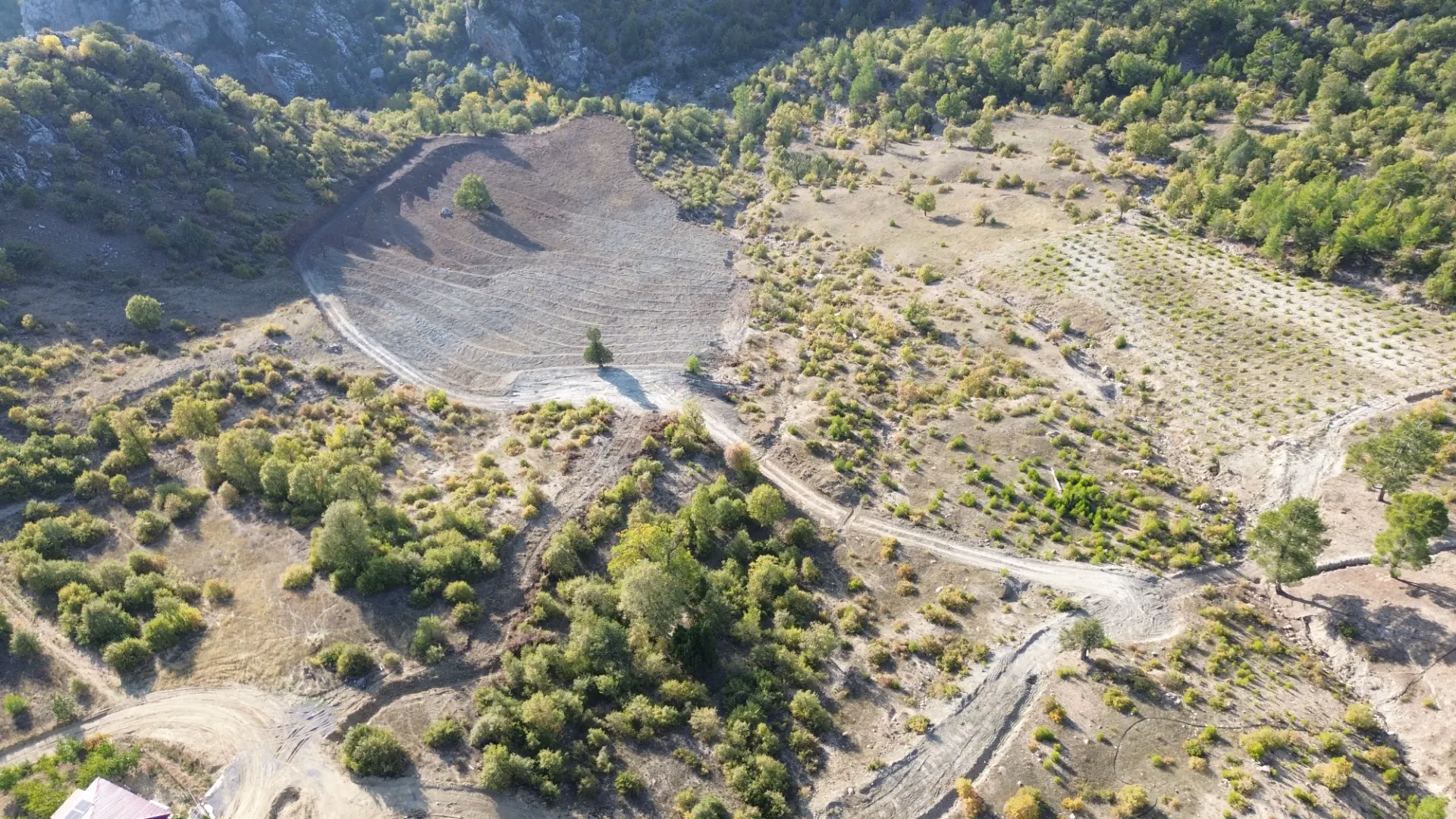 Terreno cultivado listo para la venta en Alanya